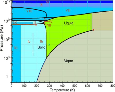 Phases of ice .